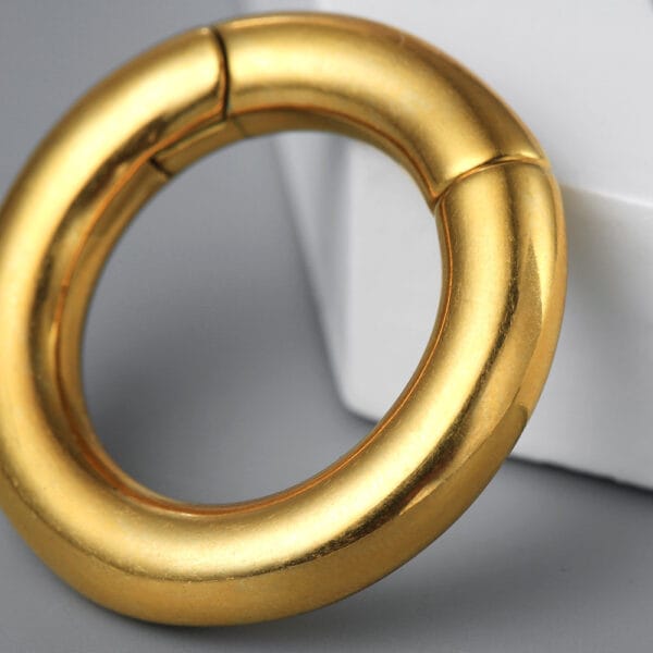 Hoop Ring Ear Hangers