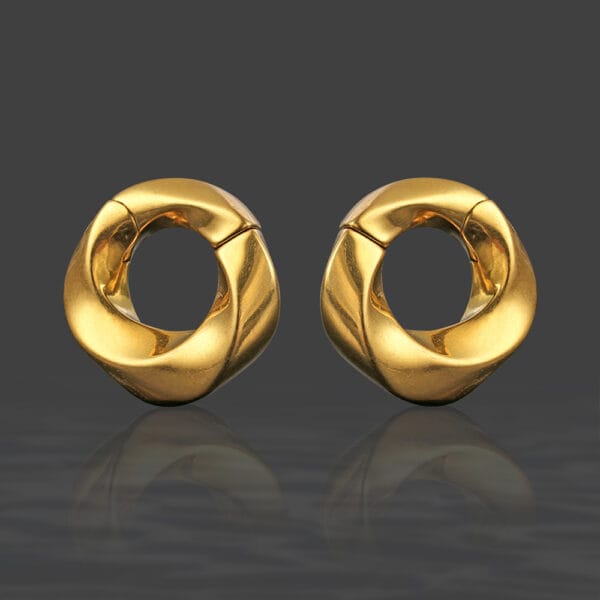 d 2PCS Twist Ring Ear Hangers Weights