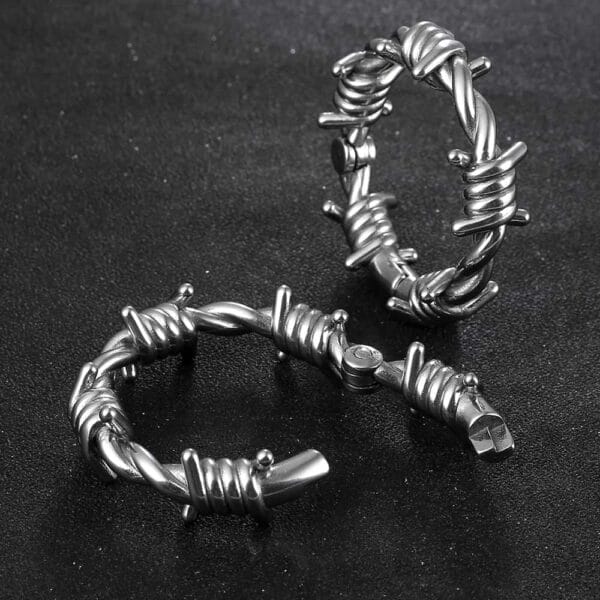 Circle Ear Hangers