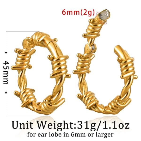 Circle Ear Hangers