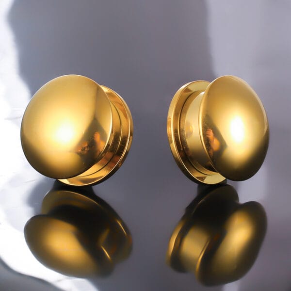2PCS 316 Stainless Steel Round Ear Gauges Stretcher