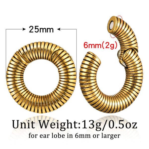 2PCS Thread Round Ear Weights Hangers