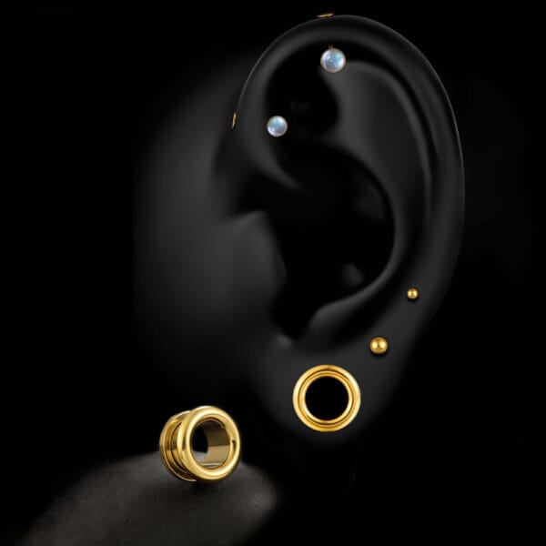 Screw Fit Ear Gauges