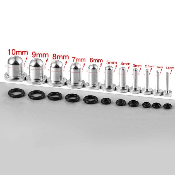 Shell Ear Expander Tunnels
