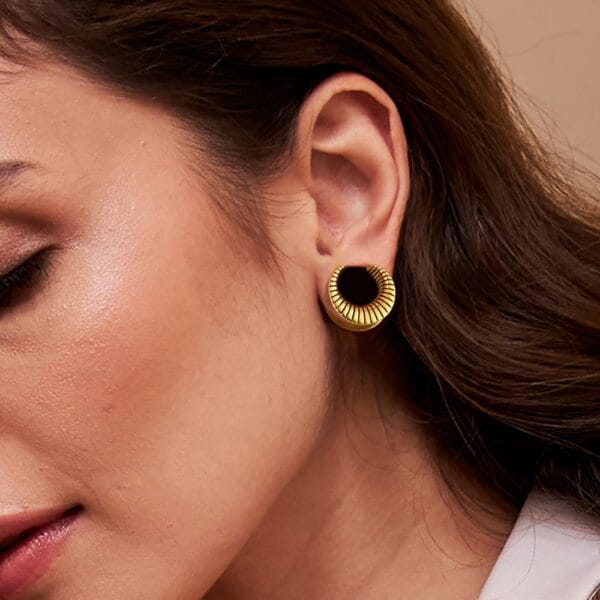 Moon Saddle Ear Tunnels