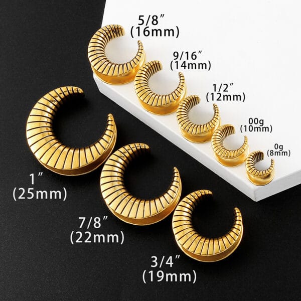 Moon Saddle Ear Tunnels