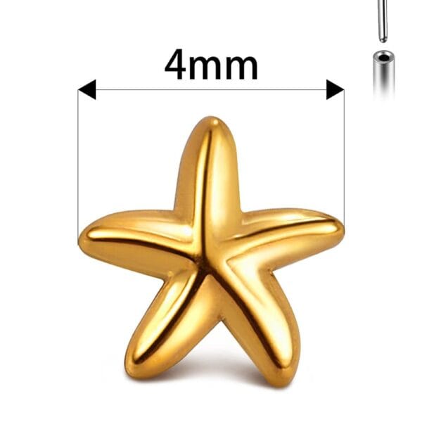 Star Labret Stud